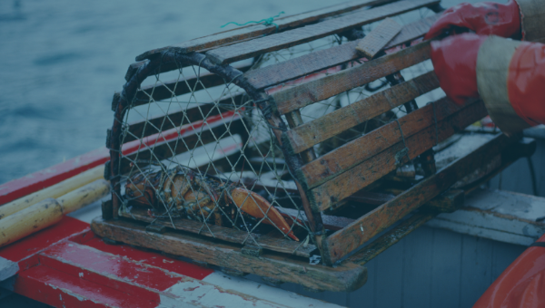 Powering Ocean-based Businesses with Innovative Technology Solutions: How Atlantic Canada is Spearheading a Journey for Sustainable Growth in a Changing Economy
