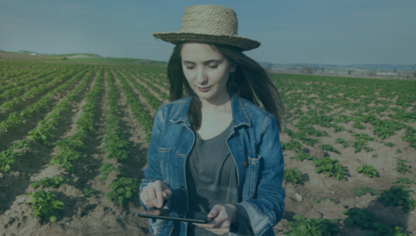 Biting into an apple fuelled by data analytics and IoT: how digital disruption is transforming agriculture